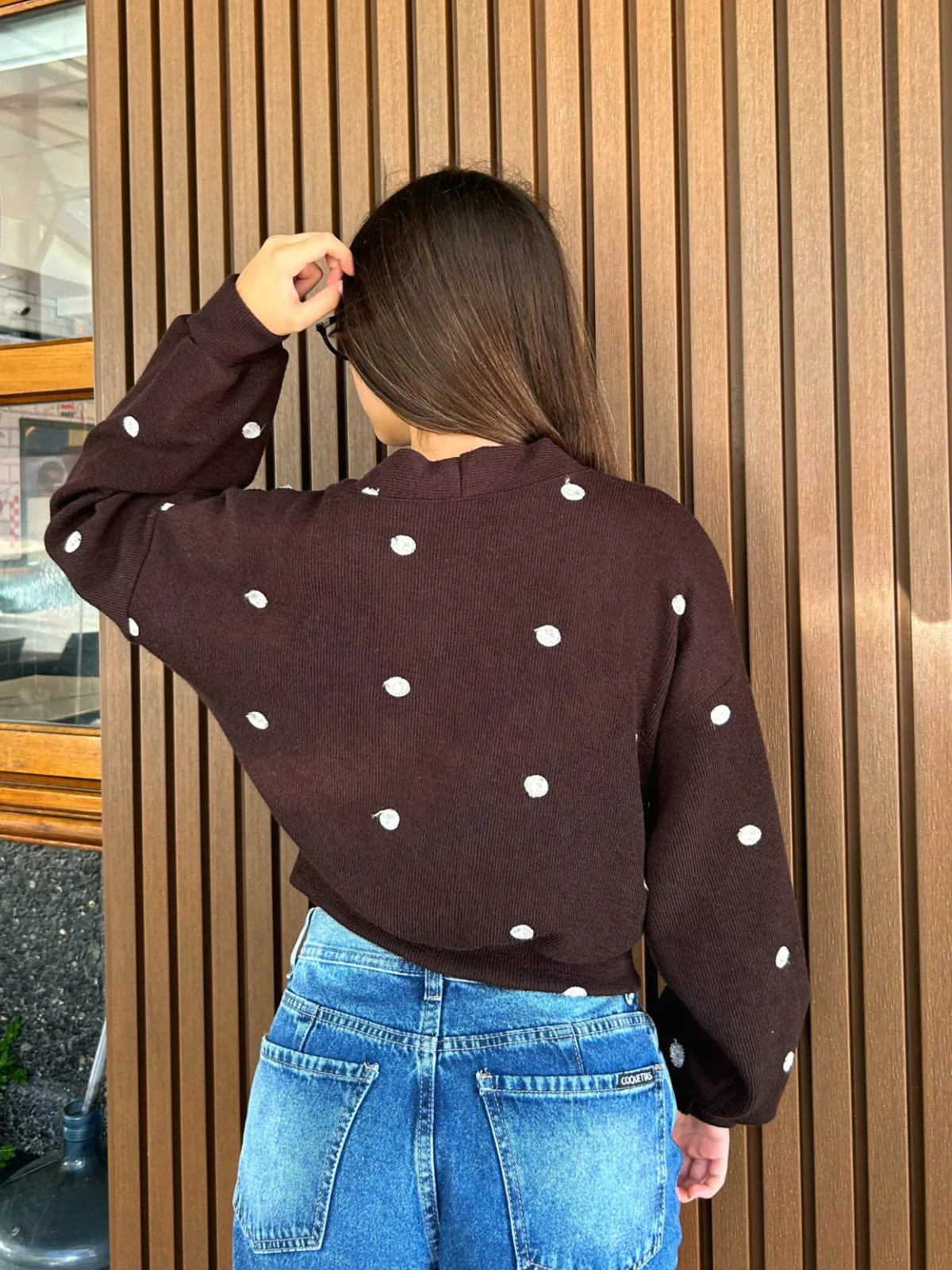 Alternative view of CARDIGAN LUNAR