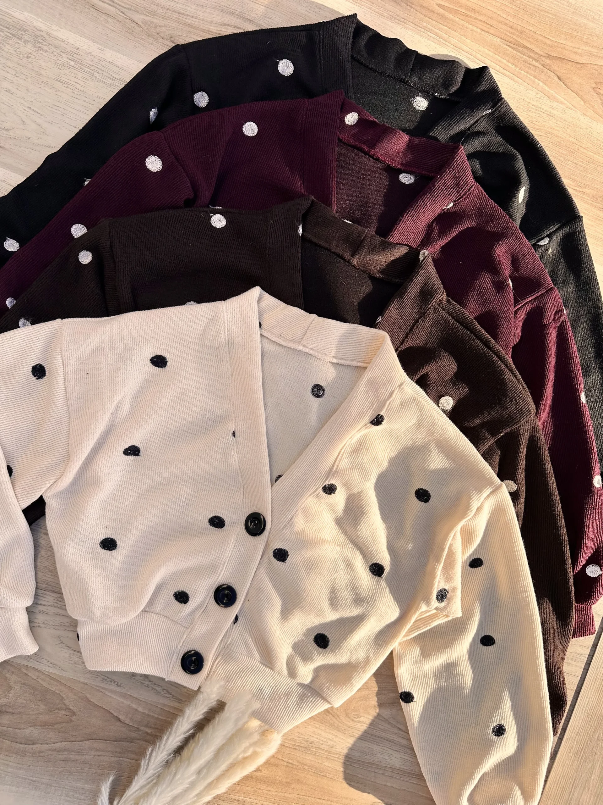 Alternative view of Cardigan Lunar