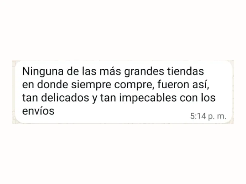 Ninguna de las más grandes tiendas en donde siempre compre, fueron así, tan delicados y tan impecables con los envíos